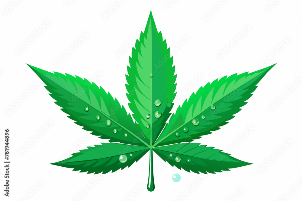 green-cannabis-leaf-with-dew-on-white-background