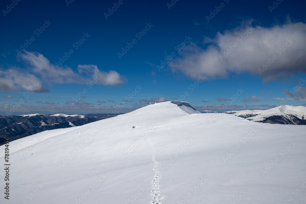 footprints in the snow at the edge of the world, horizon, winter hike, loneliness footprints in the snow at the edge of the world, horizon, winter hike, loneliness