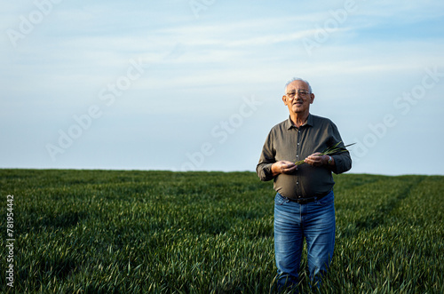 Portrait of senior farmer standing in wheat field.