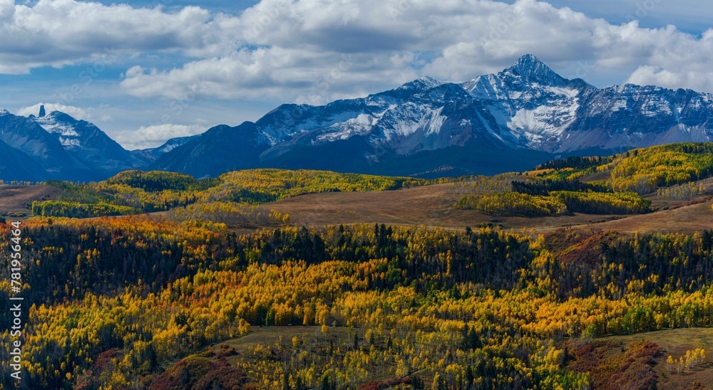 Amazing shot of the snow-capped mountains with yellow- leaved trees in the foreground during autumn