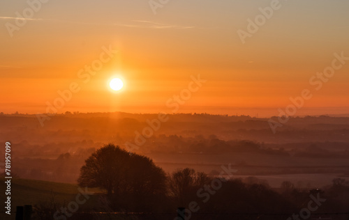 Wallpaper Mural Beautiful view of sunset on a field Torontodigital.ca