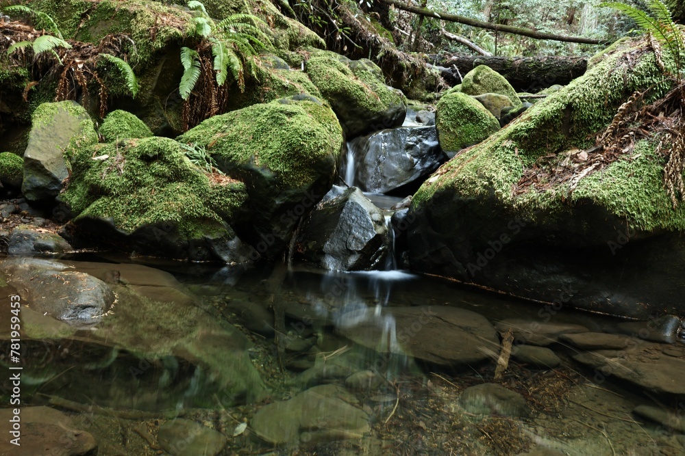Scenic shot of the pure creek streaming down the rocks Scenic shot of the pure creek streaming down the rocks