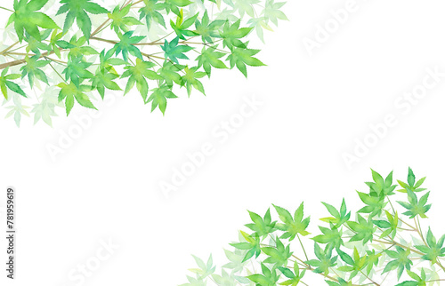 新緑のモミジのフレーム、水彩イラスト（透過背景）

