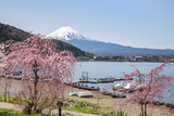 Mount Fuji in April seen from Lake Kawaguchi, Kawaguchiko, Yamanashi Prefecture, Japan