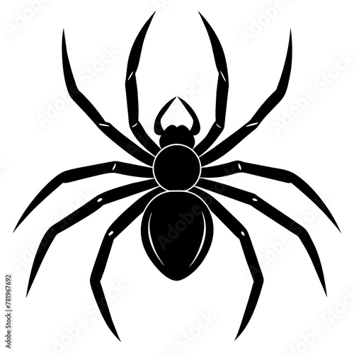 spider vector illustration