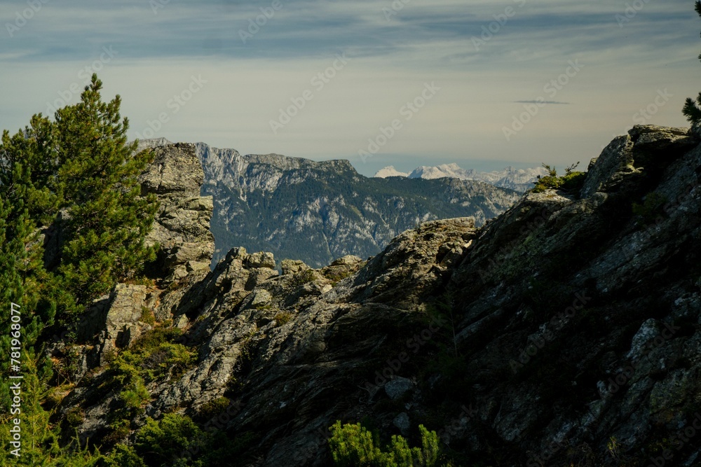 Closeup shot of rocky heights and green trees on a mountainside in Austria