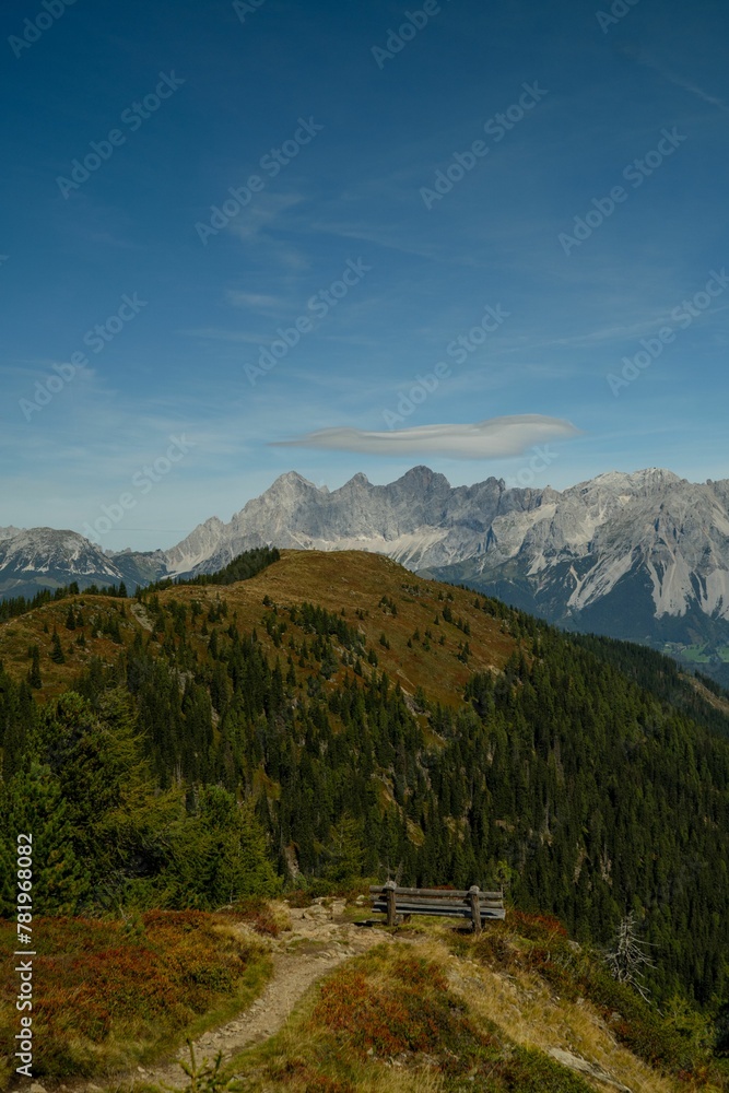 Obraz premium Vertical shot of a wooden bench with a picturesque view of a mountainside of green trees