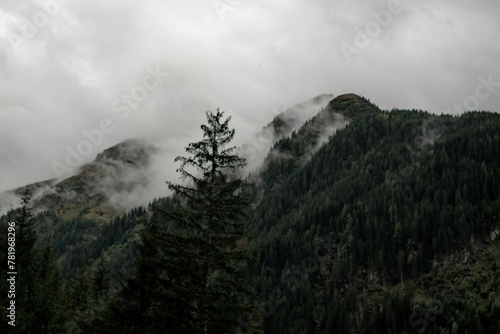 Distant shot of a mountain of evergreen trees covered in mist in gloomy weather
