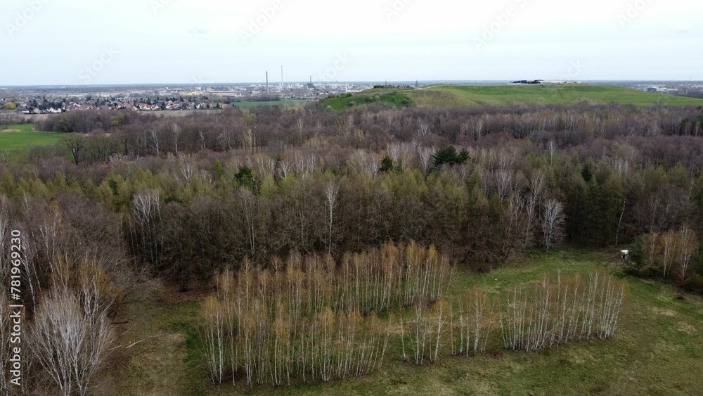 Aerial natural view of a forest extinction Aerial natural view of a forest extinction