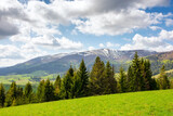 landscape of transcarpathia in spring. scenery with trees on the grassy hill. cozy green environment. sunny day with clouds on a blue sky. borzhava ridge in the distance