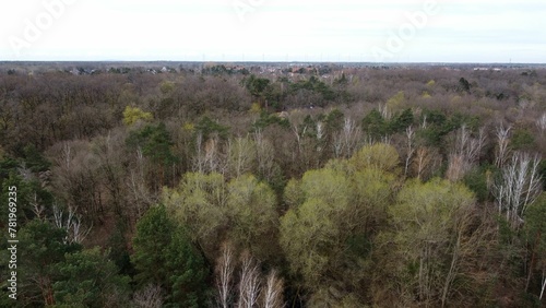 Aerial natural view of a forest extinction