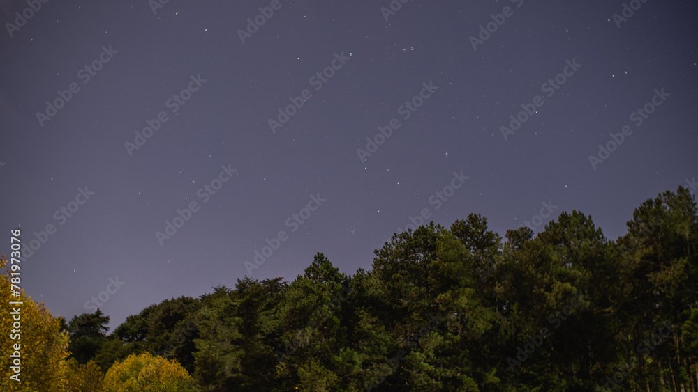 Beautiful view of a starry sky over the forest with trees