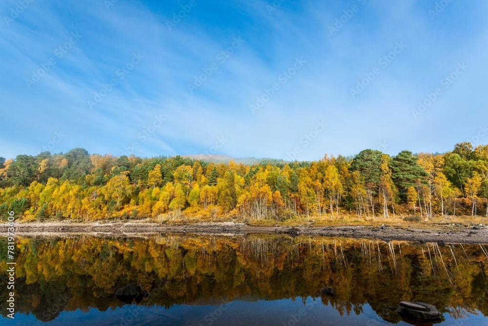 Scenic shot of lush autumn trees their reflection on the lake surface in Glen Affric, Scotland