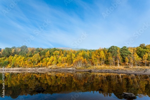 Scenic shot of lush autumn trees their reflection on the lake surface in Glen Affric, Scotland