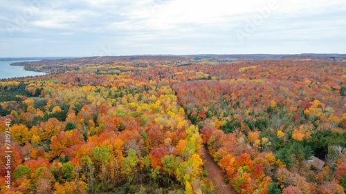 High-angle shot of a river and a yellow forest under the blue sky during the autumn. © Wirestock