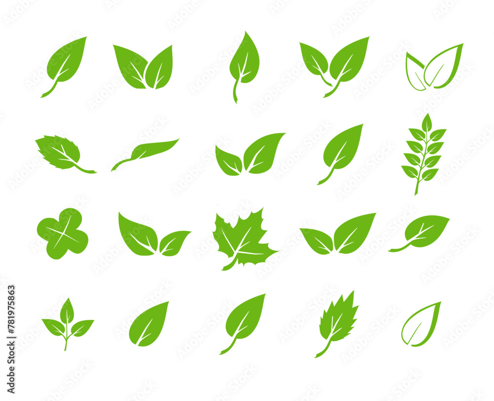 Green leaf icons set. Elements design for natural, eco, vegan. Leaves icon on isolated background. Collection green leaf. Vector Green leaf icons set. Elements design for natural, eco, vegan. Leaves icon on isolated background. Collection green leaf. Vector