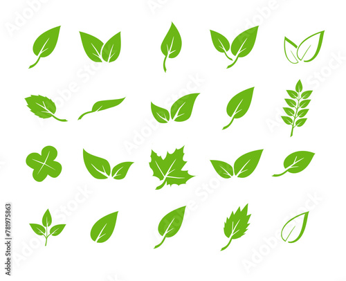 Green leaf icons set. Elements design for natural, eco, vegan. Leaves icon on isolated background. Collection green leaf. Vector