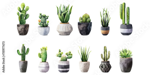 Set of watercolor cactus plants on white background.