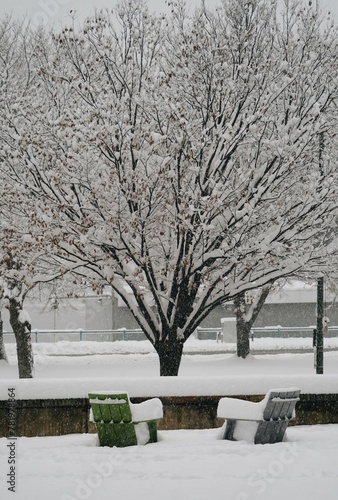 Scene in MIT Sloan after Snowstorm photo