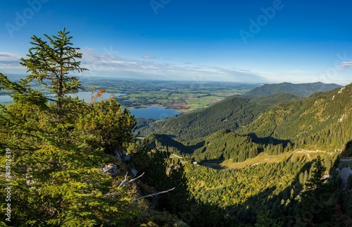 Aerial view of mountain landscape surrounded by dense trees