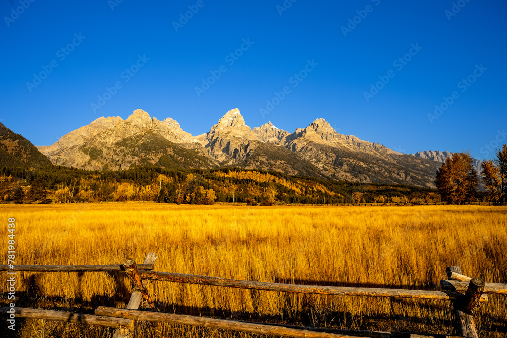 Scenic view of rocky mountains with a yellow grass field in the foreground in a rural area