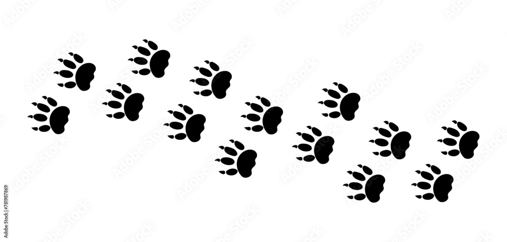 There are many traces of silhouettes of black paws of a wild tiger. Vector illustration There are many traces of silhouettes of black paws of a wild tiger. Vector illustration