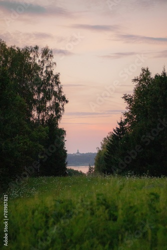 Vertical shot of a green field and lush trees on the coast of a lake in the evening