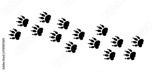 There are many traces of silhouettes of black paws of a wild tiger. Vector illustration