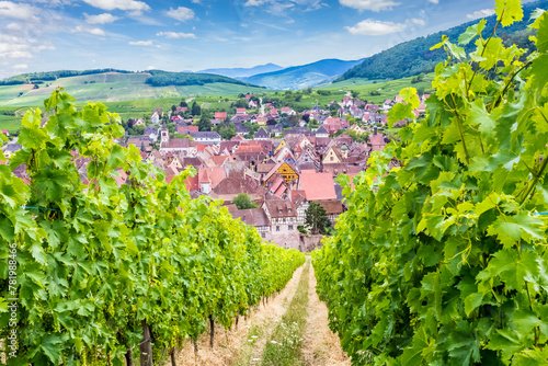 Village de Riquewihr dans les vignes d’Alsace, France  photo