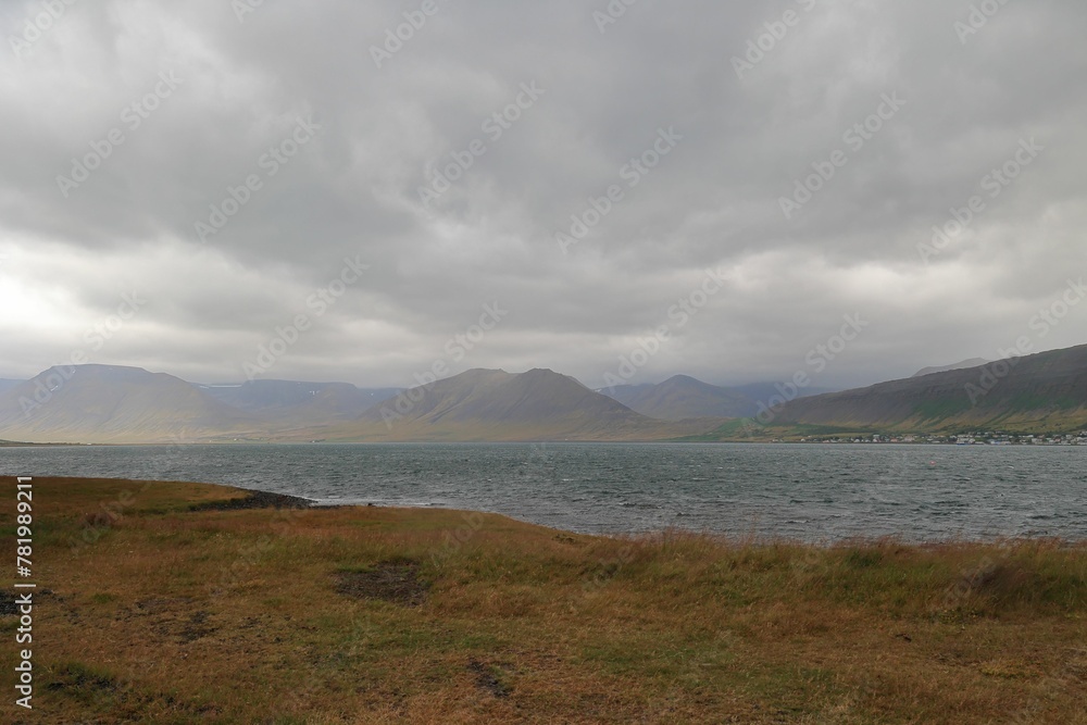 Scenic view of a tranquil lake with a grassy shore on a cloudy day in Iceland