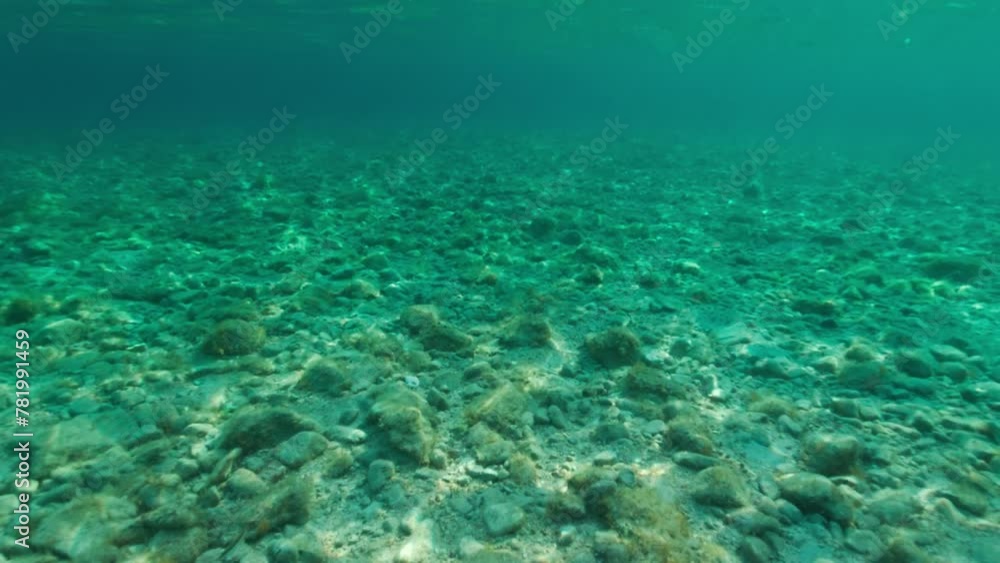 Seabed of the Adriatic Sea in a bay on a sunny day Seabed of the Adriatic Sea in a bay on a sunny day
