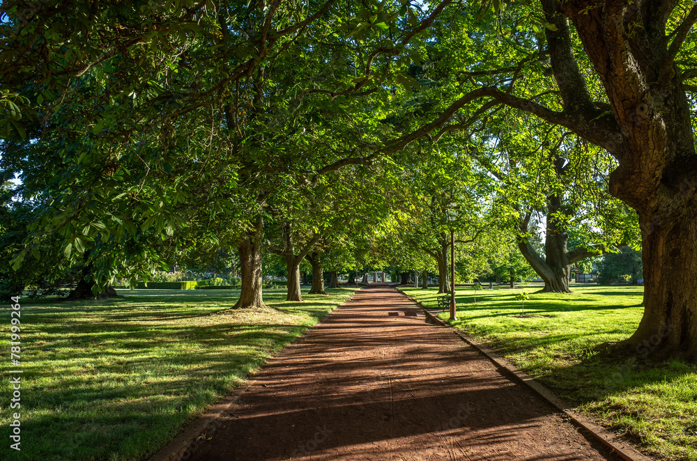 A scenic path lined with mature trees offers a shady escape in a tranquil public park. Sunlight filters through the leaves of lush green trees. Ballarat Botanic Gardens, VIC Australia. A scenic path lined with mature trees offers a shady escape in a tranquil public park. Sunlight filters through the leaves of lush green trees. Ballarat Botanic Gardens, VIC Australia.