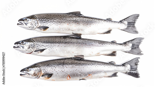 Top view of whole salmon isolated on a white background, presenting the entire fish with its gleaming, pinkish flesh and silver scales. This image captures the freshness and high quality of the salmon