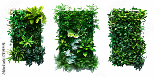 Set of square plants wall, vertical garden with greenery isolated on white background, generative ai