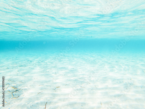 Underwater view with transparent sea ocean water and white sand. Caribbean maldive concept summer holiday vacation photo