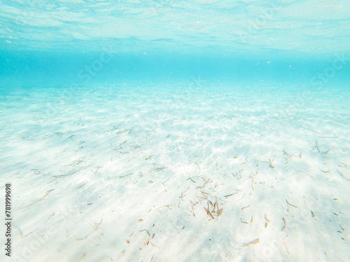 Underwater view with transparent sea ocean water and white sand. Caribbean maldive concept summer holiday vacation