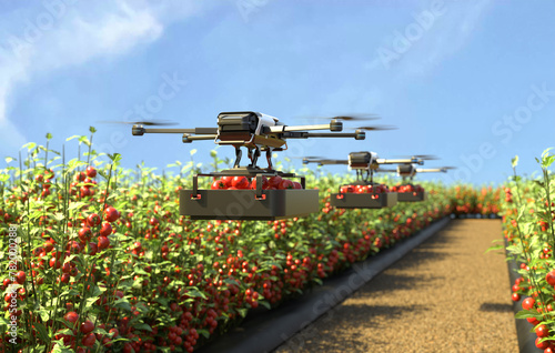 Drone is transporting tomatoes in a tomato garden, Agricultural robots work in smart farms, Smart agriculture farming concept. 3D illustration