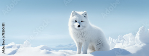 A detailed render of an arctic fox in its winter coat, stark against a pure white background, emphasizing its natural camouflage in snowy environments, isolated on a polar elegance background
