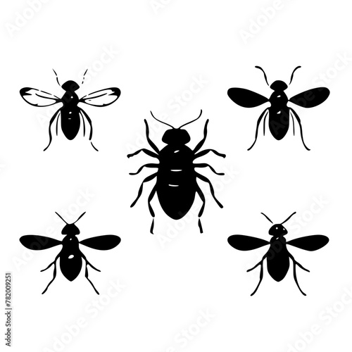 bug svg, beetle svg, svg bundle, insects svg, svg bugs, bug clipart, svg bugs bundle svg, line art svg, Bugs Silhouette, insects clipart, outline bugs, Insect, insect, ant, bug, beetle, spider, vector