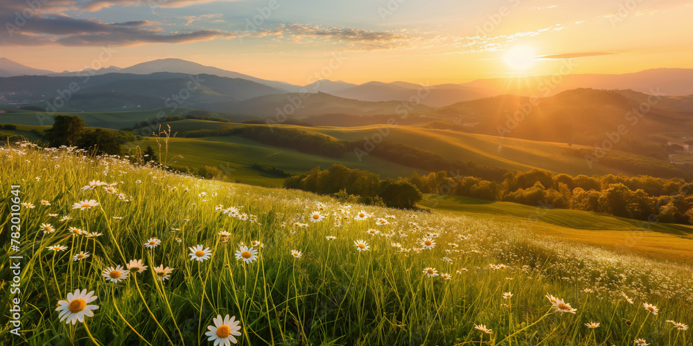 Beautiful landscape montain sunset with greenery daisy valey