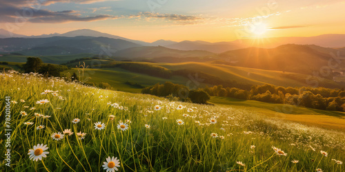 Beautiful landscape montain sunset with greenery daisy valey photo