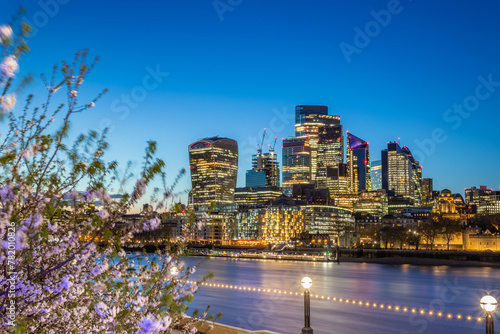 Illuminated neighbourhood City of London across the  Thames in spring, blooming cherry trees at the embankment in London, the United Kingdom 