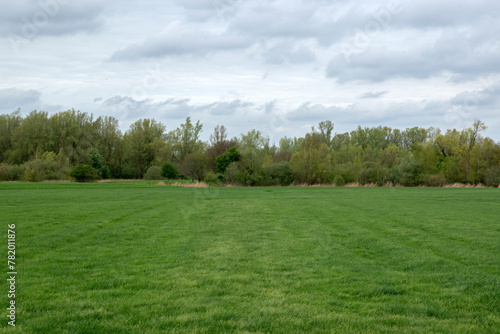 Farmland With Trees In The Background At Abcoude The Netherlands 8-4-2024 photo