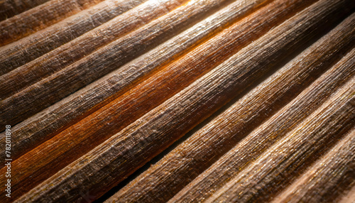 Wood Background: Artistic Macro of Wood's Textural Elegance. Wood Bamboo wood texture photo