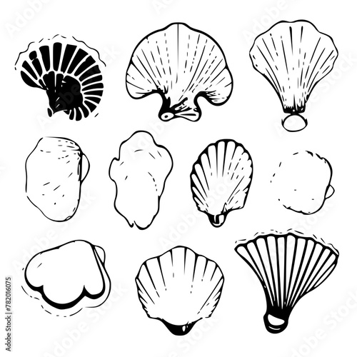 Seashells svg, Seashell svg file, Ocean svg, Marine, Clipart, Seashell SVG, SeaShell Outline SVG, Beach SVG, Summer, Seashells Svg, Flower seashell Svg, Underwater the sea Svg, Ocean Svg, SeaShell cli