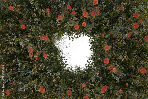 Isolated PNG spot in the middle surrounded by spring meadow flowers. 3D Rendering