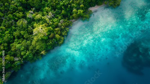A photo of The turquoise waters and lush greenery of Raja Ampat's remote islands captured from a drone © nawaitesa