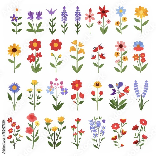 Stock Flower Icon Set, Garden Matthiola Incana Flower Flat Design, Abstract Stock Flower Symbol, Simple Flowers