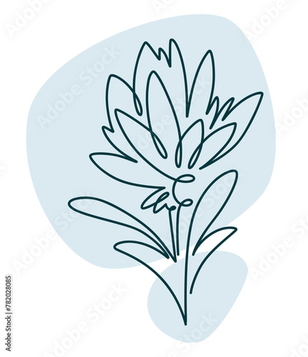 Blooming flower in line art, abstract flora design