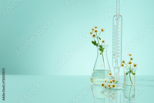 On a blue background, a group of lab glasses, transparent fluid filled in erlenmeyer flasks with few daisy flower branches are decorated. Minimal background and copy space for product presentation photo